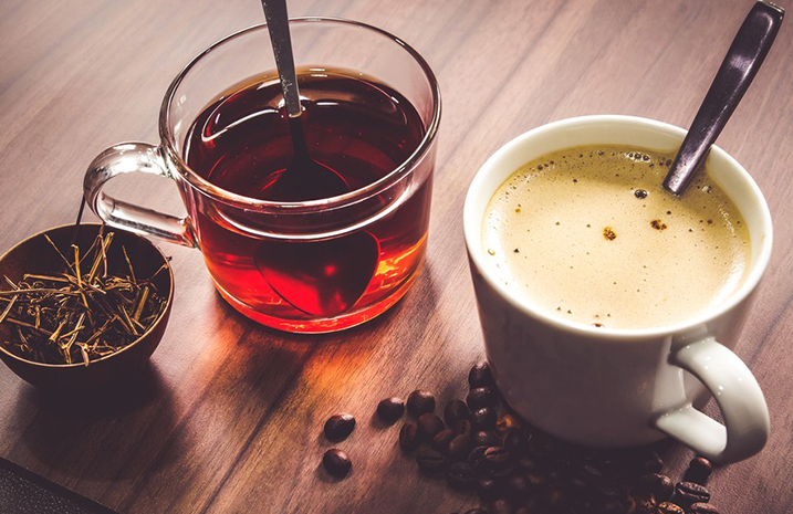 علماء إسبانيون يوضحون مخاطر شرب كميات كبيرة من القهوة